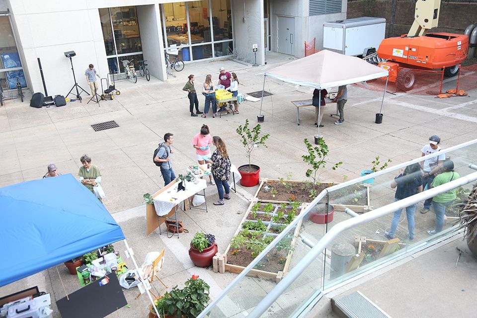 People mill about the tactical urbanism garden.