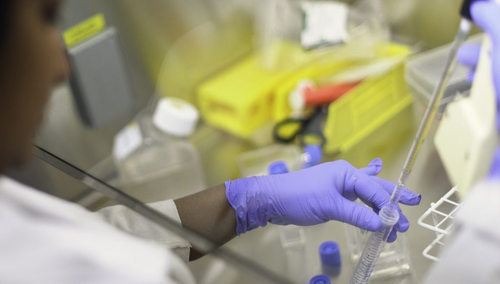 lab