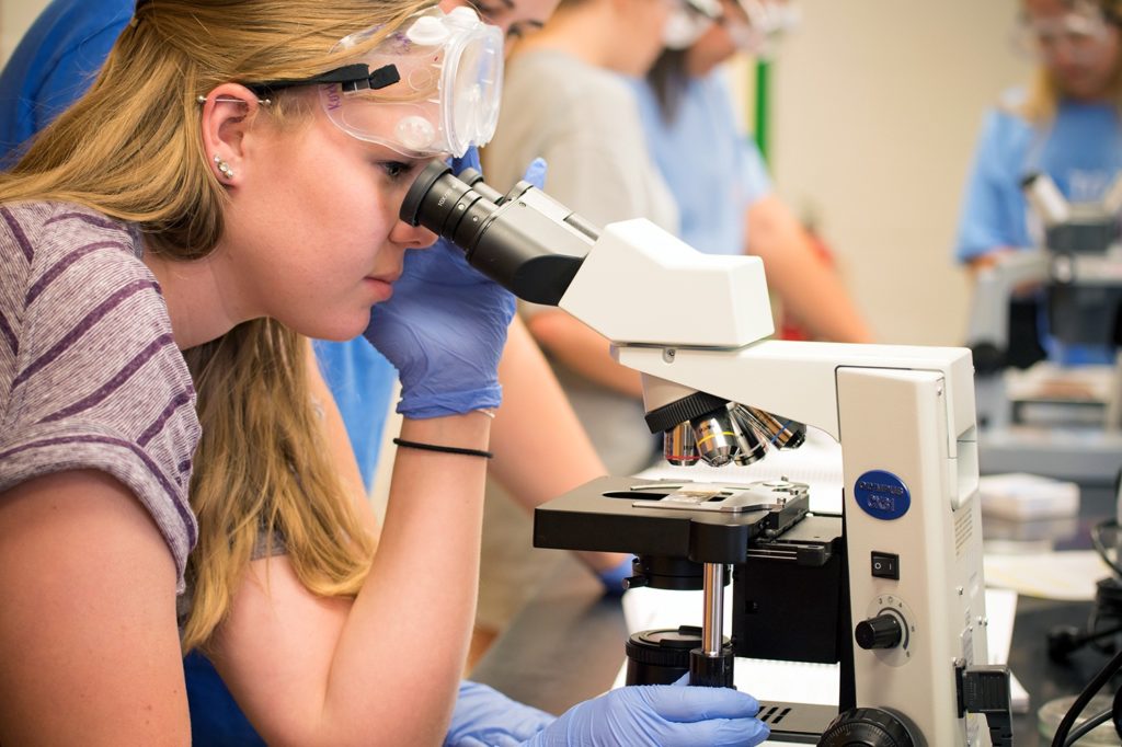 Users are responsible for securing permission from the copyright holder for publication of any images. Contact communications@science.tamu.edu.