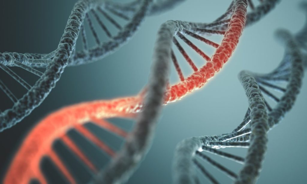 Long structure of the DNA double helix in depth of view.