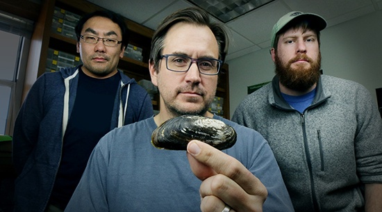 dallas-mussel-group