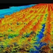 A SfM (structure from motion)-generated point cloud image. (Texas A&M AgriLife)