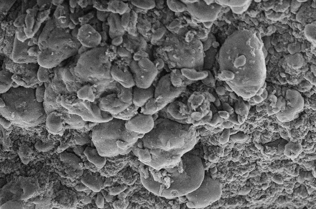 The study uses a commonly used thickening agent known as kappa-carrageenan, obtained from seaweed, to design injectable hydrogels.