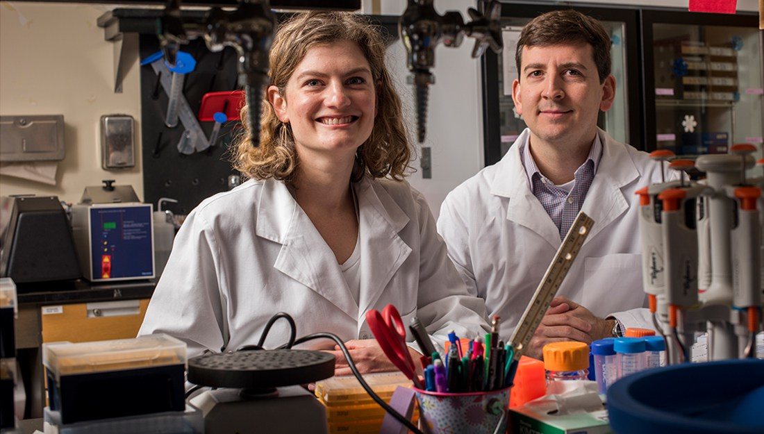 Phillip West, PhD, assistant professor, and Laura Ciaccia West, PhD, research assistant professor, both in Department of Microbial Pathogenesis and Immunology in the Texas A&M University College of Medicine, study a diverse array of cell and animal models to investigate how mitochondria influence human health and disease.