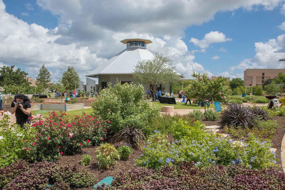 The Leach Teaching Gardens debuted June 15 with a ribbon cutting and grand opening ceremony. (Mark Guerrero/Texas A&M University Marketing & Communications)