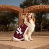 Reveille VIII