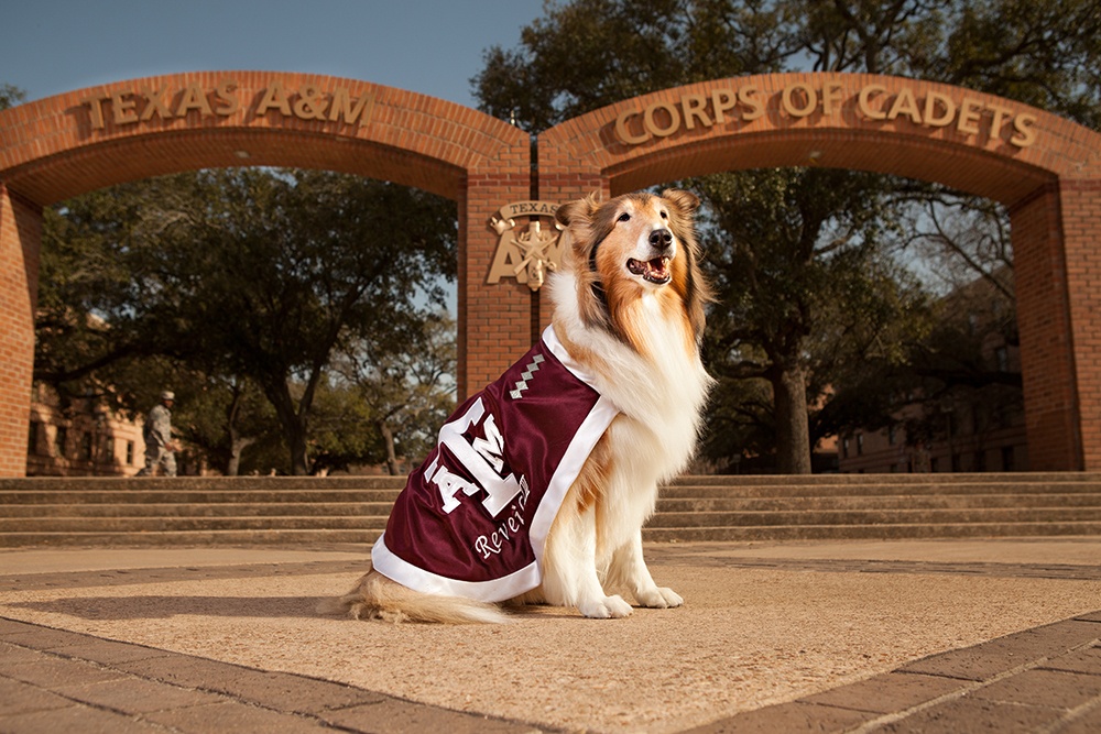 Rev in front of Corps Arches