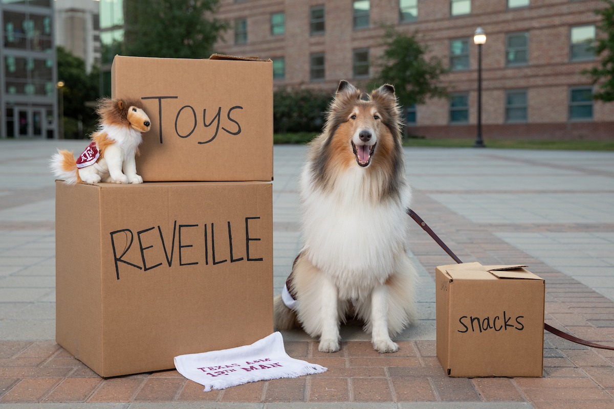 (Mark Guerrero/Texas A&M Marketing & Communications)