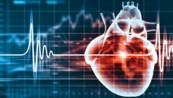 Heart on a Cardiogram